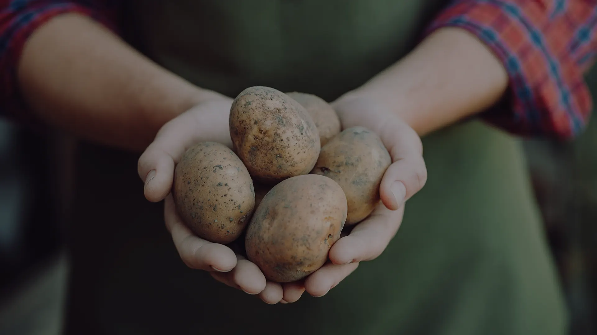 Patatas en manos